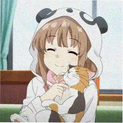 观众木野的头像